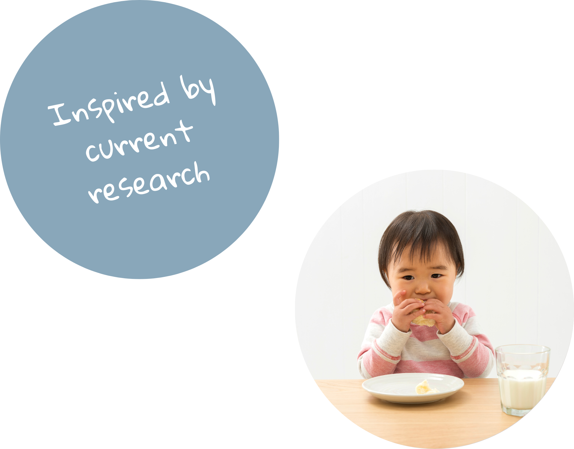 A circle photo of a baby girl eating a sandwich. She has a porcelain plate and a glass of milk in front of her on the table. Next to her, another circle image names the current website section "Inspired by current research".